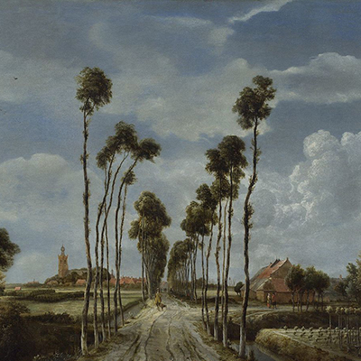 ماین درت هوبما و مناظری روشن، منظم و رنگین